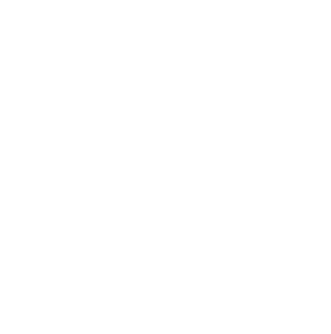 Logo-white